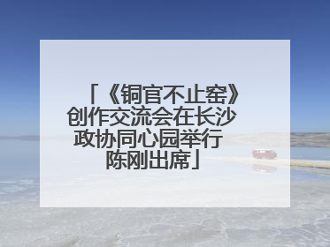 《铜官不止窑》创作交流会在长沙政协同心园举行 陈刚出席