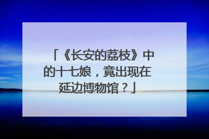 《长安的荔枝》中的十七娘，竟出现在延边博物馆？