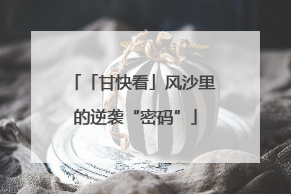 「甘快看」风沙里的逆袭“密码”