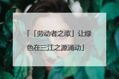 「劳动者之歌」让绿色在三江之源涌动