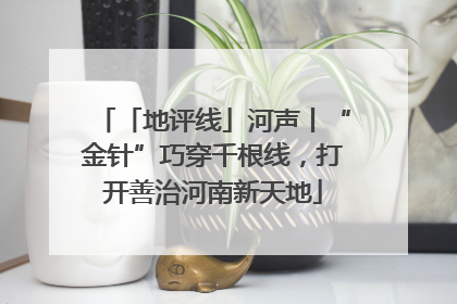 「地评线」河声丨“金针”巧穿千根线，打开善治河南新天地