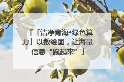 「洁净青海•绿色算力」以数绘图，让海量信息“跑起来”