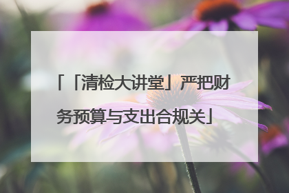 「清检大讲堂」严把财务预算与支出合规关