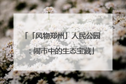 「风物郑州」人民公园：闹市中的生态宝藏