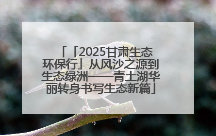 「2025甘肃生态环保行」从风沙之源到生态绿洲——青土湖华丽转身书写生态新篇