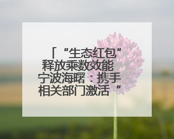 “生态红包”释放乘数效能 宁波海曙：携手相关部门激活“沉睡”的公益损害赔偿金