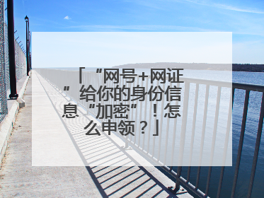 “网号+网证”给你的身份信息“加密”！怎么申领？