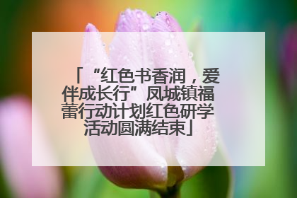 “红色书香润，爱伴成长行”凤城镇福蕾行动计划红色研学活动圆满结束
