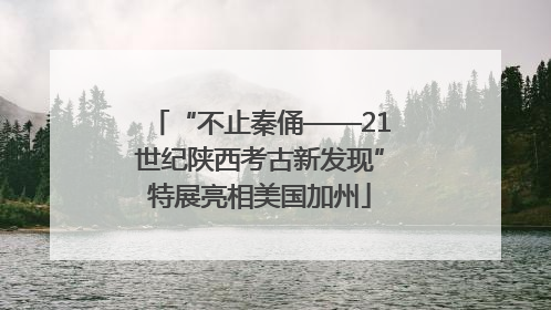 “不止秦俑——21世纪陕西考古新发现”特展亮相美国加州