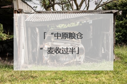 “中原粮仓”麦收过半