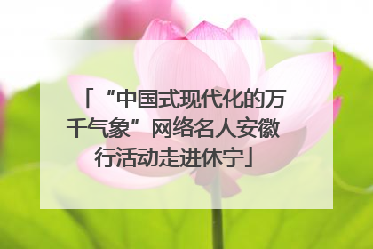 “中国式现代化的万千气象”网络名人安徽行活动走进休宁