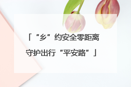 “乡”约安全零距离 守护出行“平安路”