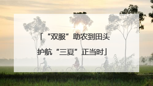 “双服”助农到田头 护航“三夏”正当时