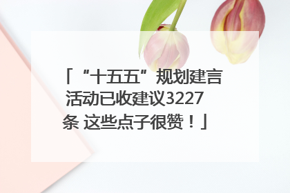“十五五”规划建言活动已收建议3227条 这些点子很赞！