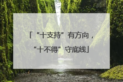 “十支持”有方向，“十不得”守底线