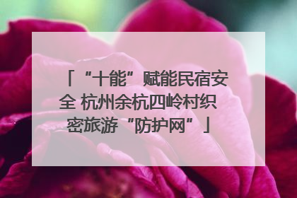 “十能”赋能民宿安全 杭州余杭四岭村织密旅游“防护网”