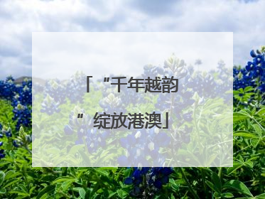 “千年越韵”绽放港澳