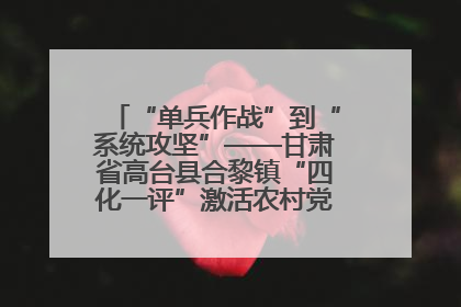 “单兵作战”到“系统攻坚”——甘肃省高台县合黎镇“四化一评”激活农村党员管理新引擎