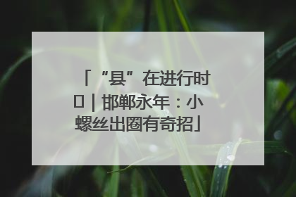 “县”在进行时⑬｜邯郸永年：小螺丝出圈有奇招
