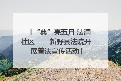 “典”亮五月 法润社区——新野县法院开展普法宣传活动