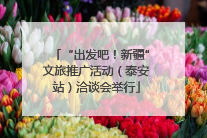 “出发吧！新疆”文旅推广活动（泰安站）洽谈会举行