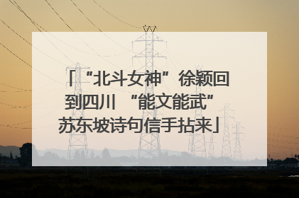 “北斗女神”徐颖回到四川 “能文能武”苏东坡诗句信手拈来