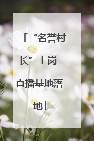 “名誉村长”上岗 直播基地落地