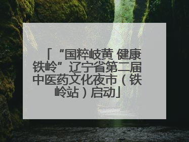 “国粹岐黄 健康铁岭”辽宁省第二届中医药文化夜市（铁岭站）启动