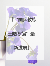 “国乒教练王皓考编”最新进展
