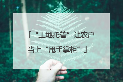 “土地托管”让农户当上“甩手掌柜”