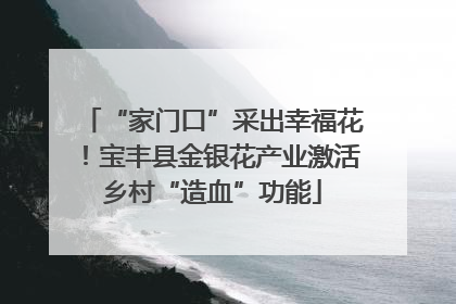 “家门口”采出幸福花！宝丰县金银花产业激活乡村“造血”功能