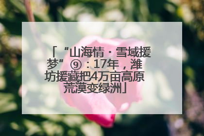“山海情・雪域援梦”⑨：17年，潍坊援藏把4万亩高原荒漠变绿洲