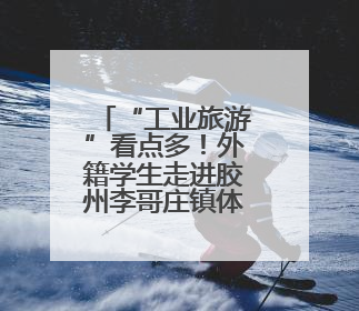 “工业旅游”看点多！外籍学生走进胶州李哥庄镇体验“胶州智造”