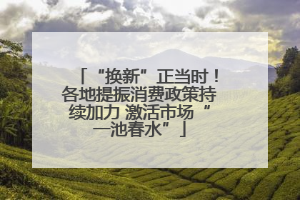 “换新”正当时！各地提振消费政策持续加力 激活市场“一池春水”