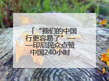 “我们的中国行更容易了”——印尼民众点赞中国240小时过境免签政策