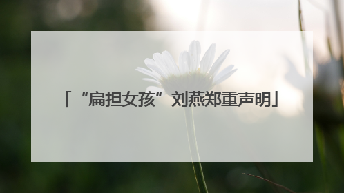 “扁担女孩”刘燕郑重声明