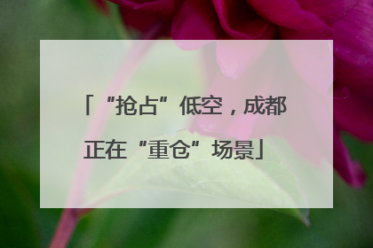 “抢占”低空，成都正在“重仓”场景