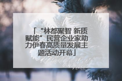 “林都聚智 新质赋能”民营企业家助力伊春高质量发展主题活动开幕