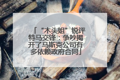 “木头姐”锐评特马交锋：争吵揭开了马斯克公司有多依赖政府合同