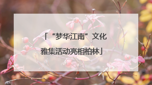 “梦华江南”文化雅集活动亮相柏林