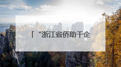 “浙江省侨助千企万品出海”启动 侨青“架桥”拓市场