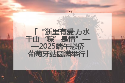 “浙里有爱·万水千山‘粽’是情”——2025端午慰侨葡萄牙站圆满举行