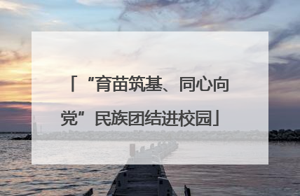 “育苗筑基、同心向党”民族团结进校园