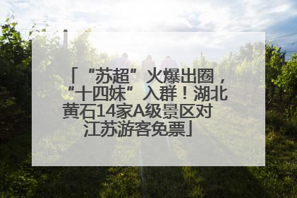 “苏超”火爆出圈，“十四妹”入群！湖北黄石14家A级景区对江苏游客免票