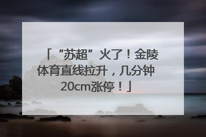 “苏超”火了！金陵体育直线拉升，几分钟20cm涨停！