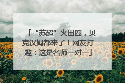 “苏超”火出圈，贝克汉姆都来了！网友打趣：这是名师一对一