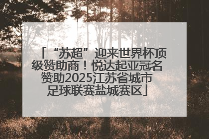 “苏超”迎来世界杯顶级赞助商！悦达起亚冠名赞助2025江苏省城市足球联赛盐城赛区