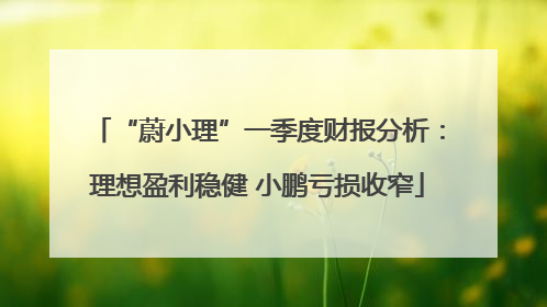 “蔚小理”一季度财报分析：理想盈利稳健 小鹏亏损收窄