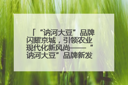 “讷河大豆”品牌闪耀京城，引领农业现代化新风尚——“讷河大豆”品牌新发地推介会圆满落幕