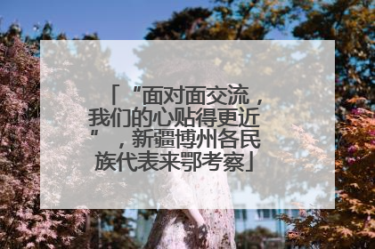 “面对面交流，我们的心贴得更近”，新疆博州各民族代表来鄂考察